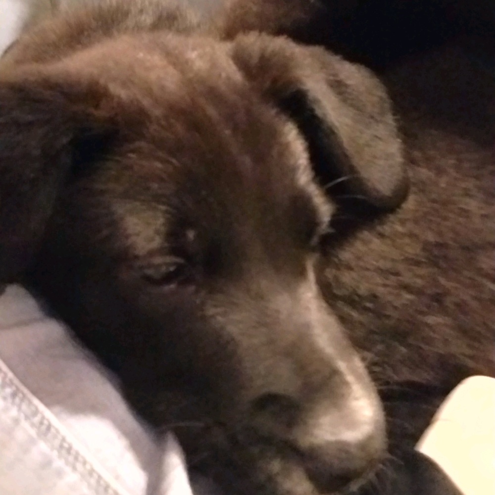 Meet your Posher, Caitlyn